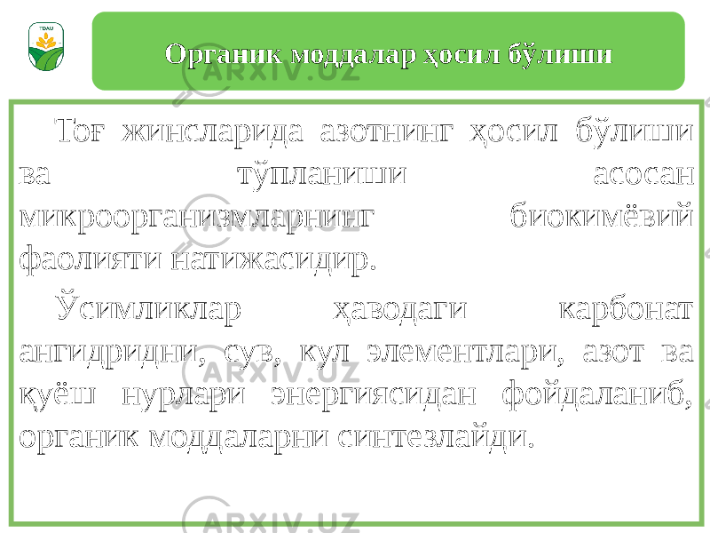 Тоғ жинсларида азотнинг ҳосил бўлиши ва тўпланиши асосан микроорганизмларнинг биокимёвий фаолияти натижасидир. Ўсимликлар ҳаводаги карбонат ангидридни, сув, кул элементлари, азот ва қуёш нурлари энергиясидан фойдаланиб, органик моддаларни синтезлайди. Органик моддалар ҳосил бўлиши 