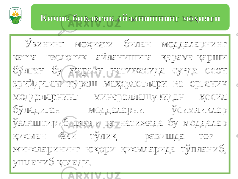 Ўзининг моҳияти билан моддаларнинг катта геологик айланишига қарама-қарши бўлган бу жараён натижасида сувда осон эрийдиган нураш маҳсулотлари ва органик моддаларнинг минераллашувидан ҳосил бўладиган моддаларни ўсимликлар ўзлаштириб олади ва натижада бу моддалар қисман ёки тўлиқ равишда тоғ жинсларининг юқори қисмларида тўпланиб, ушланиб қолади. Кичик биологик айланишнинг моҳияти 