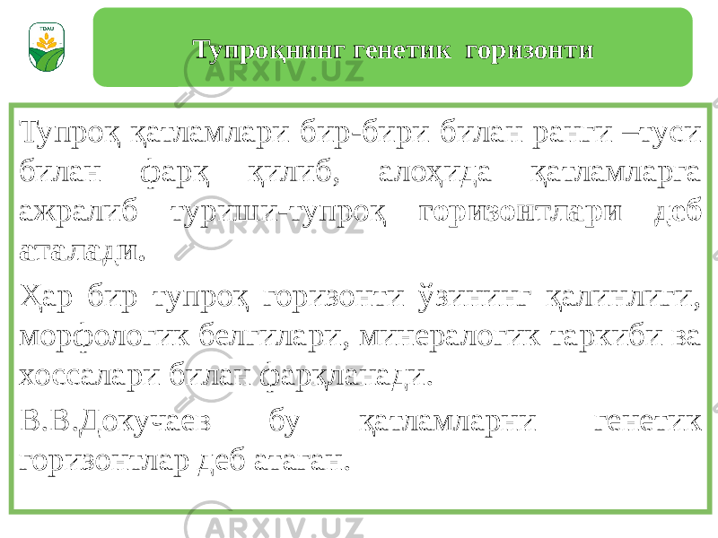 Тупроқ қатламлари бир-бири билан ранги –туси билан фарқ қилиб, алоҳида қатламларга ажралиб туриши-тупроқ горизонтлари деб аталади. Ҳар бир тупроқ горизонти ўзининг қалинлиги, морфологик белгилари, минералогик таркиби ва хоссалари билан фарқланади. В.В.Докучаев бу қатламларни генетик горизонтлар деб атаган. Тупроқнинг генетик горизонти 