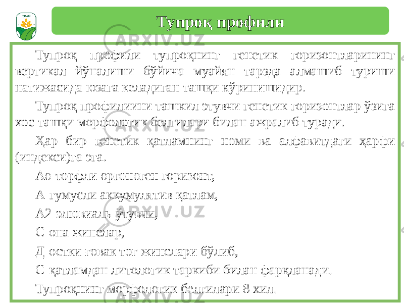 Тупроқ профили тупроқнинг генетик горизонтларининг вертикал йўналиши бўйича муайян тарзда алмашиб туриши натижасида юзага келадиган ташқи кўринишидир. Тупроқ профилиини ташкил этувчи генетик горизонтлар ўзига хос ташқи морфологик белгилари билан ажралиб туради. Ҳар бир генетик қатламнинг номи ва алфавитдаги ҳарфи (индекси)га эга. Ао-торфли оргоноген горизонт, А-гумусли аккумулятив қатлам, А2-элювиаль-ўтувчи, С-она жинслар, Д-остки ғовак тоғ жинслари бўлиб, С-қатламдан литологик таркиби билан фарқланади. Тупроқнинг морфологик белгилари 8 хил. Тупроқ профили 