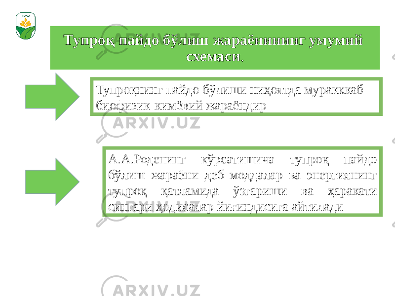 Тупроқ пайдо бўлиш жараёнининг умумий схемаси . Тупроқнинг пайдо бўлиши ниҳоятда муракккаб биофизик-кимёвий жараёндир А.А.Роденинг кўрсатишича тупроқ пайдо бўлиш жараёни деб моддалар ва энергиянинг тупроқ қатламида ўзгариши ва ҳаракати сингари ҳодисалар йиғиндисига айтилади 