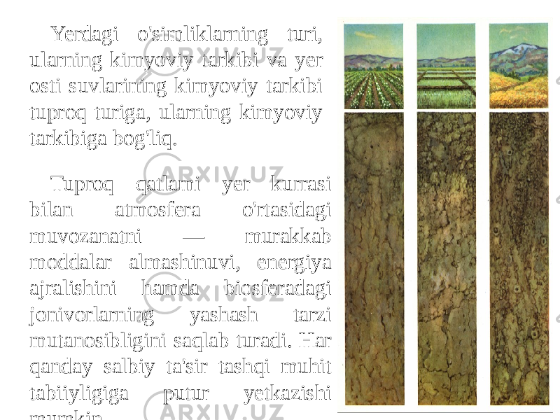 Yerdagi o&#39;simliklarning turi, ularning kimyoviy tarkibi va yer osti suvlarining kimyoviy tarkibi tuproq turiga, ularning kimyoviy tarkibiga bog&#39;liq. Tuproq qatlami yer kurrasi bilan atmosfera o&#39;rtasidagi muvozanatni — murakkab moddalar almashinuvi, energiya ajralishini hamda biosferadagi jonivorlarning yashash tarzi mutanosibligini saqlab turadi. Har qanday salbiy ta&#39;sir tashqi muhit tabiiyligiga putur yetkazishi mumkin. 