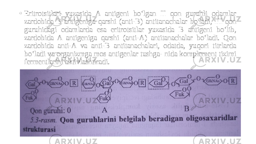 • Eritrotsitlari yuzasida A antigeni boʻlgan II qon guruhli odamlar zardobida B antigeniga qarshi (anti-B) antitanachalar bo&#39;ladi, III qon guruhidagi odamlarda esa eritrotsitlar yuzasida B antigeni boʻlib, zardobida A antigeniga qarshi (anti-A) antitanachalar boʻladi. Qon zardobida anti-A va anti-B antitanachalari, odatda, yuqori titrlarda boʻladi va organizmga mos antigenlar tushga- nida komplement tizimi fermentlarini aktivlashtiradi. 