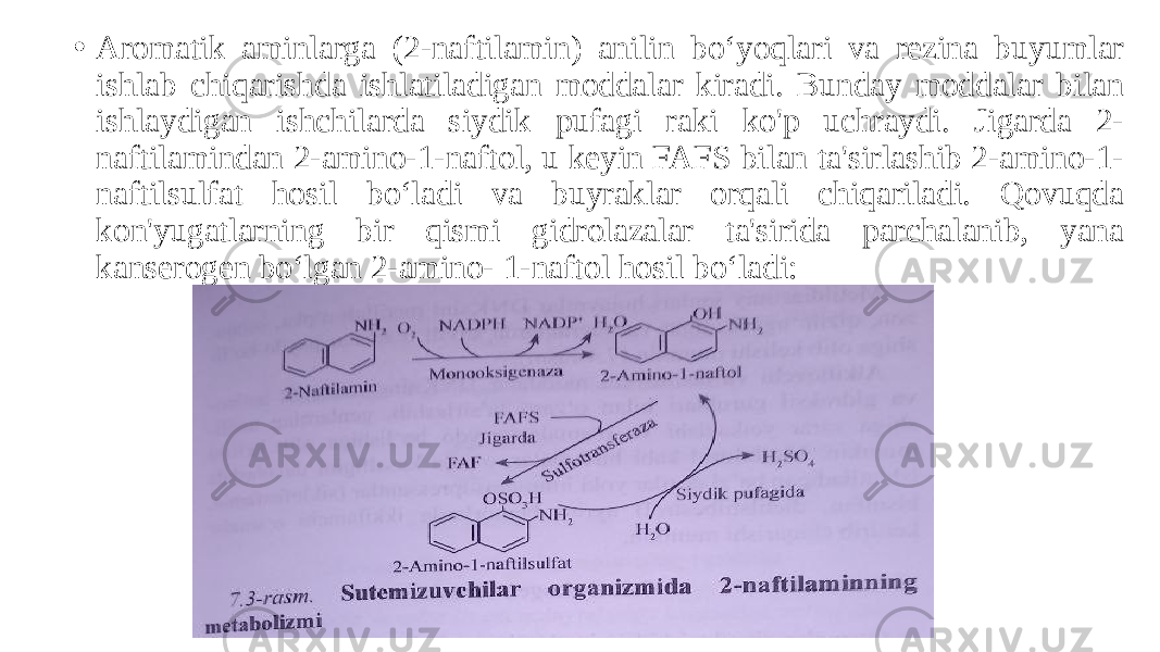 • Aromatik aminlarga (2-naftilamin) anilin boʻyoqlari va rezina buyumlar ishlab chiqarishda ishlatiladigan moddalar kiradi. Bunday moddalar bilan ishlaydigan ishchilarda siydik pufagi raki ko&#39;p uchraydi. Jigarda 2- naftilamindan 2-amino-1-naftol, u keyin FAFS bilan ta&#39;sirlashib 2-amino-1- naftilsulfat hosil boʻladi va buyraklar orqali chiqariladi. Qovuqda kon&#39;yugatlarning bir qismi gidrolazalar ta&#39;sirida parchalanib, yana kanserogen boʻlgan 2-amino- 1-naftol hosil boʻladi: 