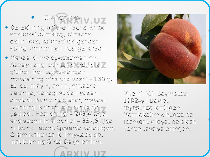 • Gulnoz navi • Daraxtining bo‘yi o‘rtacha, shox- shabbasi dumaloq, o‘rtacha qalinlikda, ko‘chati ekilgandan so‘ng uchinchi yili hosilga kiradi.  • Mevasi dumaloq-tuxumsimon. Asosiy rangi och sariq, och qizil g‘ubori bor, sal tuklangan, mevasining o‘rtacha vazni – 130 g. Eti oq, mayin, shirin, o‘rtacha sershira, danagi etidan yaxshi ajraladi. Nav o‘rtapishar, mevasi iyunning ikkinchi o‘n kunligida yetiladi. Hosildorligi – 243,4 s/ga, eng yuqori hosildorligi – 387,8 s/ga ni tashkil etadi. Qayerda yaratilgan: O‘simlikshunoslik ilmiy-tadqiqot institutining O‘rta Osiyo bo‘limi. Muallif: K.I. Baymetov. 1992–yil Davlat reyestriga kiritilgan. Mamlakatimiz hududida Toshkent viloyatida ekish uchun tavsiya qilingan. 