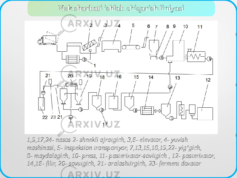 Nok sharbati ishlab chiqarish liniyasi 1,9,17,24- nasos 2- shnekli ajratgich, 3,6- elevator, 4- yuvish mashinasi, 5- inspeksion transportyor, 7,13,15,18,19,22- yig’gich, 8- maydalagich, 10- press, 11- pasterizator-sovitgich , 12- pasterizator, 14,16- filtr, 20- sovutgich, 21- aralashtirgich, 23- ferment dozator 