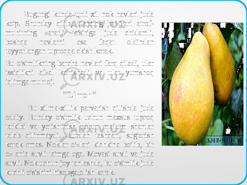  Bugungi kunda turli xil nok navlari juda ko&#39;p. Shunday qilib, ularning ba&#39;zilari atrof- muhitning zararli ta&#39;siriga juda chidamli, boshqa navlarni esa faqat oldindan tayyorlangan tuproqqa ekish kerak. Bu o&#39;simlikning barcha navlari farq qiladi, ular issiqlikni afzal ko&#39;rishadi va ular yumshoq iqlimga muhtoj. &#34;Limon&#34; Bu xilma-xillik parvarish qilishda juda oddiy. Bunday o&#39;simlik uchun maxsus tuproq tarkibi va yetishtirish uchun ma&#39;lum shartlar talab qilinmaydi. Bundan tashqari, sug&#39;orish kerak emas. Noklar o&#39;zlari kichkina bo&#39;lib, bir oz aniq suvli ta&#39;mga ega. Mevasi suvli va juda suvli. Nok uchun joy tanlashda, bu o&#39;simlik juda kuchli o&#39;sishini hisobga olish kerak. 