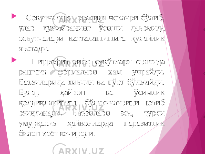  Совутчалари орасида чоклари бўлиб, улар ҳужайранинг ўсиши давомида совутчалари катталашишига қулайлик яратади.  Пиррофиттоифа сувўтлари орасида рангсиз формалари ҳам учрайди. Баъзиларида хивчин ва пўст бўлмайди. Булар ҳайвон ва ўсимлик қолдиқларининг бўлакчаларини ютиб озиқланади. Баъзилари эса, турли умурқасиз ҳайвонларда паразитлик билан ҳаёт кечиради . 