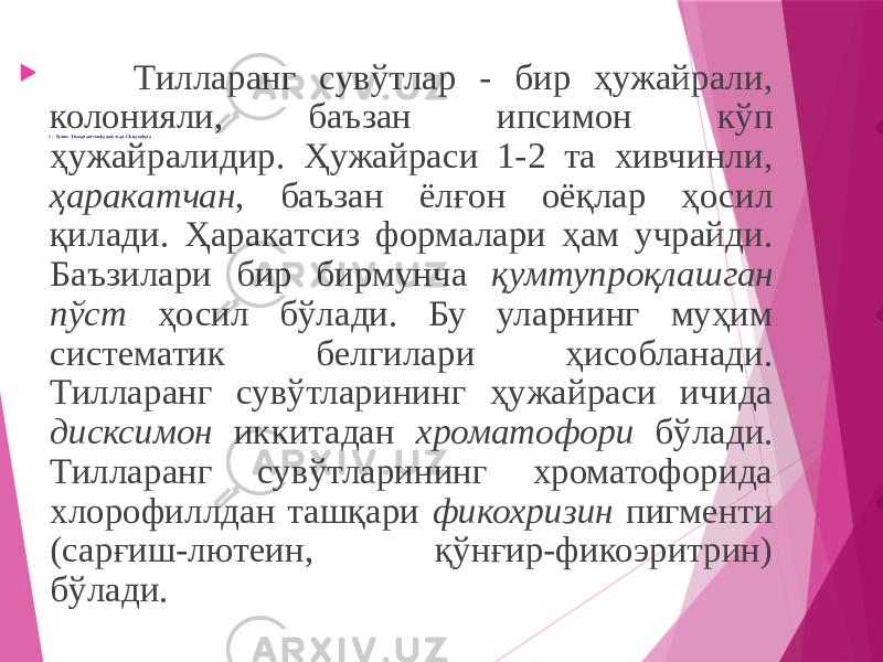  1 - бўлим. Тилларангтоифа сувўтлар -Chrysophyta  Тилларанг сувўтлар - бир ҳужайрали, колонияли, баъзан ипсимон кўп ҳужайралидир. Ҳужайраси 1-2 та хивчинли, ҳаракатчан , баъзан ёлғон оёқлар ҳосил қилади. Ҳаракатсиз формалари ҳам учрайди. Баъзилари бир бирмунча қумтупроқлашган пўст ҳосил бўлади. Бу уларнинг муҳим систематик белгилари ҳисобланади. Тилларанг сувўтларининг ҳужайраси ичида дисксимон иккитадан хроматофори бўлади. Тилларанг сувўтларининг хроматофорида хлорофиллдан ташқари фикохризин пигменти (сарғиш-лютеин, қўнғир-фикоэритрин) бўлади. 