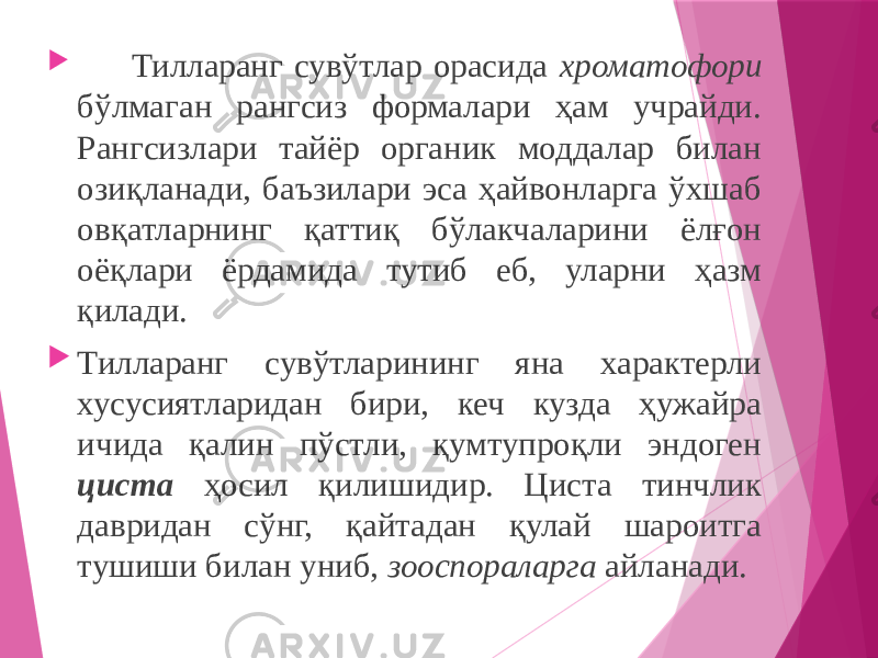  Тилларанг сувўтлар орасида хроматофори бўлмаган рангсиз формалари ҳам учрайди. Рангсизлари тайёр органик моддалар билан озиқланади, баъзилари эса ҳайвонларга ўхшаб овқатларнинг қаттиқ бўлакчаларини ёлғон оёқлари ёрдамида тутиб еб, уларни ҳазм қилади.  Тилларанг сувўтларининг яна характерли хусусиятларидан бири, кеч кузда ҳужайра ичида қалин пўстли, қумтупроқли эндоген циста ҳосил қилишидир. Циста тинчлик давридан сўнг, қайтадан қулай шароитга тушиши билан униб, зооспораларга айланади. 