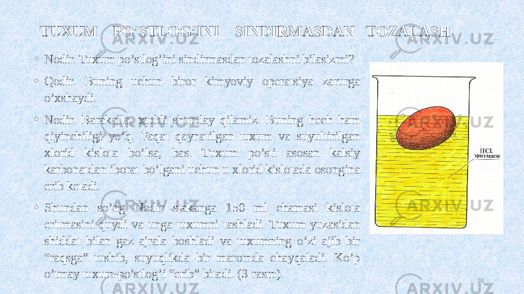 TUXUM PO’STLOG’INI SINDIRMASDAN TOZALASH • Nodir. Tuxum po’stlog’ini sindirmasdan tozalashni bilasizmi? • Qodir. Buning uchun biror kimyoviy operatsiya zarurga o’xshaydi. • Nodir. Barakalla, xuddi shunday qilamiz. Buning hech ham qiyinchiligi yo’q. Faqat qaynatilgan tuxum va suyultirilgan xlorid kislota bo’lsa, bas. Tuxum po’sti asosan kalsiy karbonatdan iborat bo’lgani uchun u xlorid kislotada osongina erib ketadi. • Shundan so’ng Nodir stakanga 150 ml chamasi kislota eritmasini quydi va unga tuxumni tashladi. Tuxum yuzasidan shiddat bilan gaz ajrala boshladi va tuxumning o’zi ajib bir “raqsga” tushib, suyuqlikda bir maromda chayqaladi. Ko’p o’tmay tuxum po’stlog’i “erib” bitadi. (3-rasm). 20 