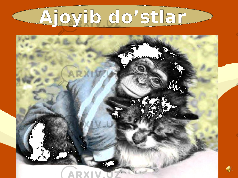 Ajoyib do’stlar 