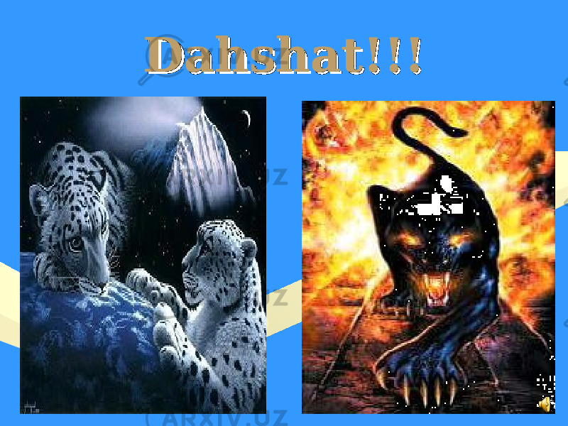 Dahshat!!!Dahshat!!! 