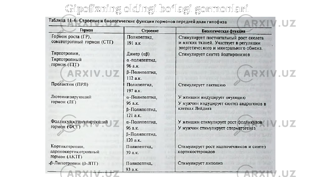 Gipofizning oldingi bo‘lagi gormonlari 