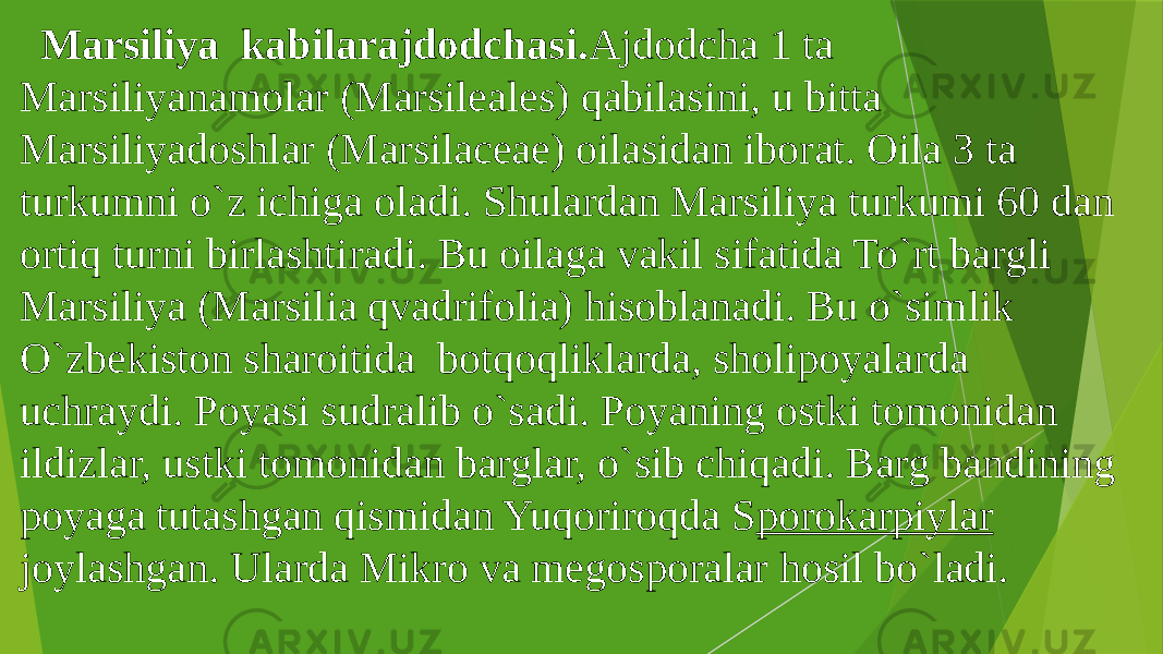 Marsiliya kabilarajdodchasi. Ajdodcha 1 ta Marsiliyanamolar (Marsileales) qabilasini, u bitta Marsiliyadoshlar (Marsilaceae) oilasidan iborat. Oila 3 ta turkumni o`z ichiga oladi. Shulardan Marsiliya turkumi 60 dan ortiq turni birlashtiradi. Bu oilaga vakil sifatida To`rt bargli Marsiliya (Marsilia qvadrifolia) hisoblanadi. Bu o`simlik O`zbekiston sharoitida botqoqliklarda, sholipoyalarda uchraydi. Poyasi sudralib o`sadi. Poyaning ostki tomonidan ildizlar, ustki tomonidan barglar, o`sib chiqadi. Barg bandining poyaga tutashgan qismidan Yuqoriroqda S porokarpiylar joylashgan. Ularda Mikro va megosporalar hosil bo`ladi. 