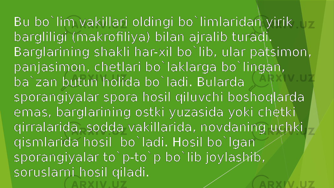 Bu bo`lim vakillari oldingi bo`limlaridan yirik bargliligi (makrofiliya) bilan ajralib turadi. Barglarining shakli har-xil bo`lib, ular patsimon, panjasimon, chetlari bo`laklarga bo`lingan, ba`zan butun holida bo`ladi. Bularda sporangiyalar spora hosil qiluvchi boshoqlarda emas, barglarining ostki yuzasida yoki chetki qirralarida, sodda vakillarida, novdaning uchki qismlarida hosil bo`ladi. Hosil bo`lgan sporangiyalar to`p-to`p bo`lib joylashib, soruslarni hosil qiladi. 