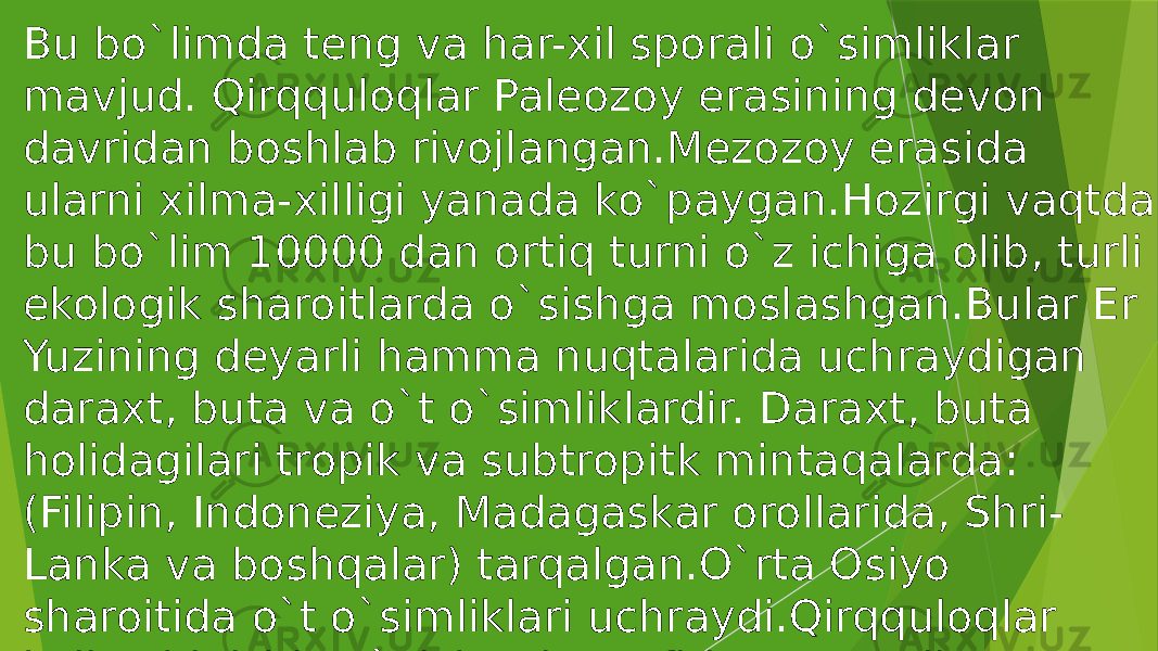 Bu bo`limda teng va har-xil sporali o`simliklar mavjud. Qirqquloqlar Paleozoy erasining devon davridan boshlab rivojlangan.Mezozoy erasida ularni xilma-xilligi yanada ko`paygan.Hozirgi vaqtda bu bo`lim 10000 dan ortiq turni o`z ichiga olib, turli ekologik sharoitlarda o`sishga moslashgan.Bular Er Yuzining deyarli hamma nuqtalarida uchraydigan daraxt, buta va o`t o`simliklardir. Daraxt, buta holidagilari tropik va subtropitk mintaqalarda: (Filipin, Indoneziya, Madagaskar orollarida, Shri- Lanka va boshqalar) tarqalgan.O`rta Osiyo sharoitida o`t o`simliklari uchraydi.Qirqquloqlar kelib chiqishi bo`yicha rinnyafitlarga bog’liq. 