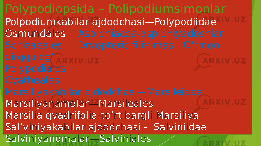 Polypodiopsida – Polipodiumsimonlar Polpodiumkabilar ajdodchasi—Polypodiidae Osmundales Aspleniacea-aspleniyadoshlar Schizaeales Dryopteris filix-mas—O’rmon qirqqulog’i Polypodiales Cyatheales Marsiliyakabilar ajdodchasi—Marsileidae Marsiliyanamolar—Marsileales Marsilia qvadrifolia-to’rt bargli Marsiliya Sal’viniyakabilar ajdodchasi - Salviniidae Salviniyanomalar—Salviniales 