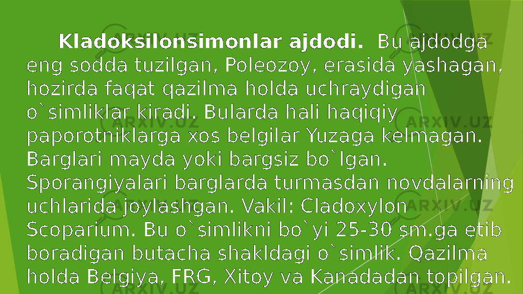  Kladoksilonsimonlar ajdodi. Bu ajdodga eng sodda tuzilgan, Poleozoy, erasida yashagan, hozirda faqat qazilma holda uchraydigan o`simliklar kiradi. Bularda hali haqiqiy paporotniklarga xos belgilar Yuzaga kelmagan. Barglari mayda yoki bargsiz bo`lgan. Sporangiyalari barglarda turmasdan novdalarning uchlarida joylashgan. Vakil: Cladoxylon Scoparium. Bu o`simlikni bo`yi 25-30 sm.ga etib boradigan butacha shakldagi o`simlik. Qazilma holda Belgiya, FRG, Xitoy va Kanadadan topilgan. 