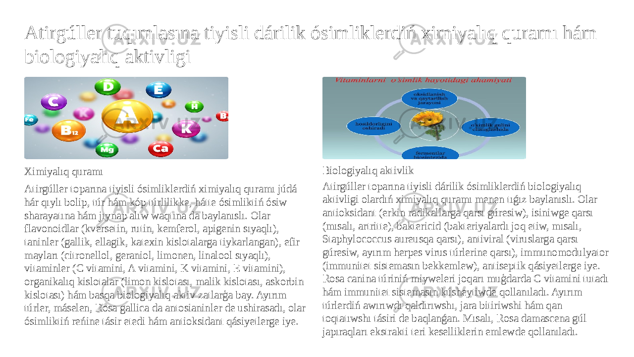 Atirgúller tuqımlasına tiyisli dárilik ósimliklerdiń ximiyalıq quramı hám biologiyalıq aktivligi Ximiyalıq quramı Atirgúller toparına tiyisli ósimliklerdiń ximiyalıq quramı júdá hár qıylı bolip, túr hám kóp túrlilikke, hátte ósimliktiń ósiw sharayatına hám jıynap alıw waqtına da baylanıslı. Olar flavonoidlar (kversetin, rutin, kemferol, apigenin sıyaqlı), taninler (gallik, ellagik, katexin kislotalarga tiykarlangan), efir mayları (citronellol, geraniol, limonen, linalool sıyaqlı), vitaminler (C vitamini, A vitamini, K vitamini, E vitamini), organikalıq kislotalar (limon kislotası, malik kislotası, askorbin kislotası) hám basqa biologiyalıq aktiv zatlarģa bay. Ayırım túrler, máselen, Rosa gallica da antosianinler de ushirasadı, olar ósimliktiń reńine tásir etedi hám antioksidant qásiyetlerge iye. Biologiyalıq aktivlik Atirgúller toparına tiyisli dárilik ósimliklerdiń biologiyalıq aktivligi olardıń ximiyalıq quramı menen tıǵız baylanıslı. Olar antioksidant (erkin radikallarga qarsı gúresiw), isiniwge qarsı (mısalı, artritte), baktericid (bakteriyalardı joq etiw, mısalı, Staphylococcus aureusqa qarsı), antiviral (viruslarga qarsı gúresiw, ayırım herpes virus túrlerine qarsı), immunomodulyator (immunitet sistemasın bekkemlew), antiseptik qásiyetlerge iye. Rosa canina túriniń miyweleri joqarı muģdarda C vitamini tutadı hám immunitet sistemasın kúsheytiwde qollanıladı. Ayırım túrlerdiń awırıwdı qaldırıwshı, jara bitiriwshi hám qan toqtatıwshı tásiri de baqlanǵan. Mısalı, Rosa damascena gúl japıraqları ekstrakti teri keselliklerin emlewde qollanıladı. 