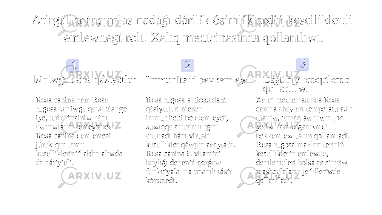 Atirgúller tuqımlasınadaǵı dárilik ósimliklerdiń keselliklerdi emlewdegi roli. Xalıq medicinasında qollanılıwı. 1 Isiniwge qarsı qásiyetler Rosa canina hám Rosa rugosa isiniwge qarsı tásirge iye, teriniń isiniw hám awırıwların kemeyttiredi. Rosa canina demlemesi júrek-qan tamır kesellikleriniń aldın alıwda da nátiyjeli. 2 Immunitetti bekkemlew Rosa rugosa antioksidant qásiyetleri menen immunitetti bekkemleydi, suwıqqa shıdamlılıǵın arttıradı hám viruslı kesellikler qáwpin azaytadı. Rosa canina C vitamini baylıǵı deneniń qorǵaw funkciyalarına unamlı tásir kórsetedi. 3 Dástúriy receptlerde qollanılıwı Xalıq medicinasında Rosa canina shayları temperaturasın túsiriw, tamaq awırıwın joq yetiw hám organizmdi bekkemlew ushın qollanıladi. Rosa rugosa mazları teriniń keselliklerin emlewde, demlemeleri bolsa as siniriw mashqalaların jeńilletiwde qollanıladı. 