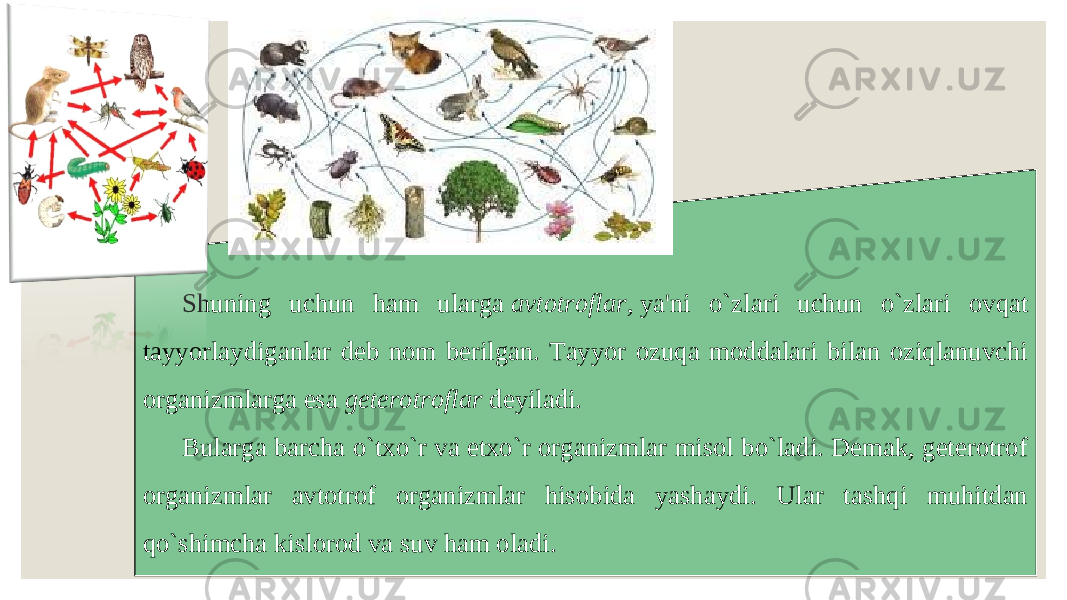 Shuning uchun ham ularga  avtotroflar,  ya&#39;ni o`zlari uchun o`zlari ovqat tayyorlaydiganlar deb nom berilgan. Tayyor ozuqa moddalari bilan oziqlanuvchi organizmlarga esa  geterotroflar  deyiladi. Bularga barcha o`txo`r va etxo`r organizmlar misol bo`ladi. Demak, geterotrof organizmlar avtotrof organizmlar hisobida yashaydi. Ular tashqi muhitdan qo`shimcha kislorod va suv ham oladi. 