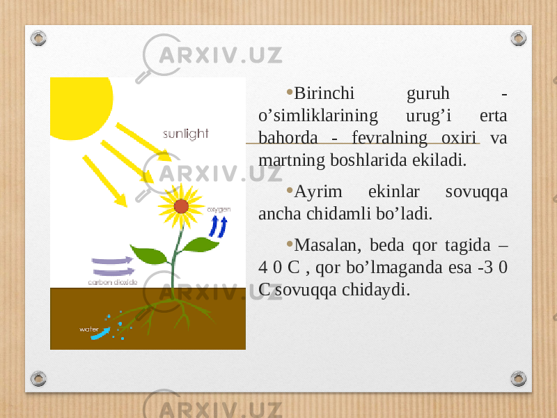 • Birinchi guruh - oʼsimliklarining urugʼi erta bahorda - fevralning oxiri va martning boshlarida ekiladi. • А yrim ekinlar sovuqqa ancha chidamli boʼladi. • Masalan, beda qor tagida – 4 0 C , qor boʼlmaganda esa -3 0 C sovuqqa chidaydi. 