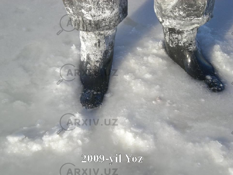 2009-yil Yoz 