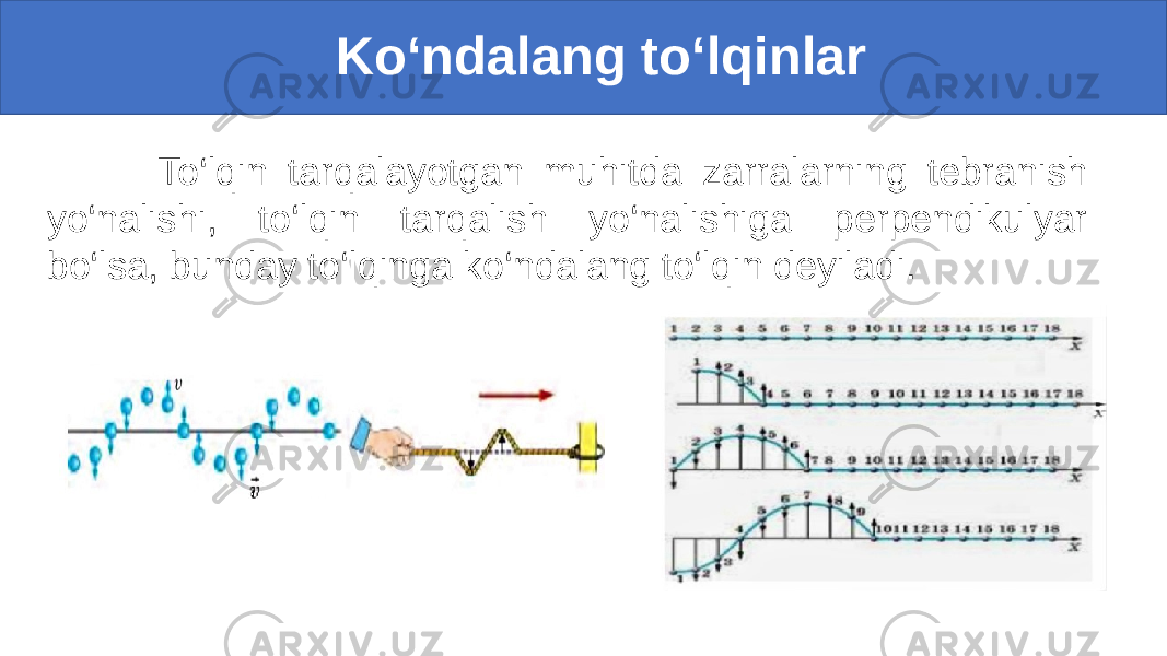  Ko‘ndalang to‘lqinlar To‘lqin tarqalayotgan muhitda zarralarning tebranish yo‘nalishi, to‘lqin tarqalish yo‘nalishiga perpendikulyar bo‘lsa, bunday to‘lqinga ko‘ndalang to‘lqin deyiladi. 