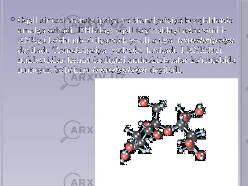  Oqsil sintezi transkripsiya va translyatsiya bosqichlarda amalga oshadi. DNKdagi oqsil to‘g‘risidagi axborotni i- RNKga ko‘chi rib o‘tilgandek yozili shiga transkripsiya deyiladi. Transkripsiya yadroda kechadi. I-RNKdagi nukleotidlar ketma-ketligini aminokislotalar ko‘rinishida namoyon bo‘lishiga translyatsiya deyiladi. 