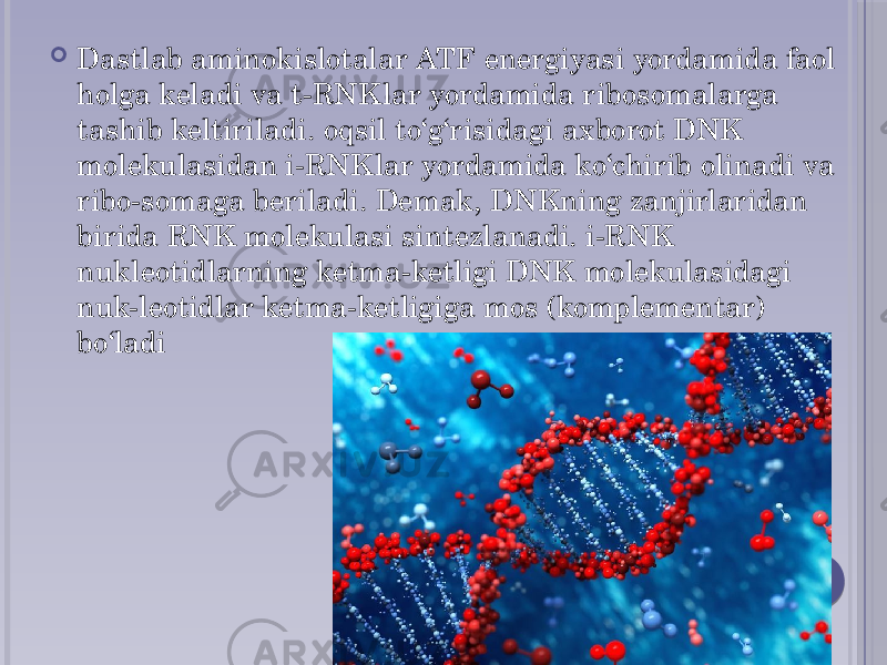  Dastlab aminokislotalar ATF energiyasi yordamida faol holga keladi va t-RNKlar yordamida ribosomalarga tashib keltiriladi. oqsil to‘g‘risidagi axborot DNK molekulasidan i-RNKlar yordamida ko‘chirib olinadi va ribo-somaga beriladi. Demak, DNKning zanjirlaridan birida RNK molekulasi sintezlanadi. i-RNK nukleotidlarning ketma-ketligi DNK molekulasidagi nuk-leotidlar ketma-ketligiga mos (komplementar) bo‘ladi 