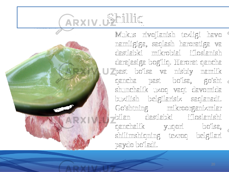 Mukus rivojlanish tezligi havo namligiga, saqlash haroratiga va dastlabki mikrobial ifloslanish darajasiga bog&#39;liq. Harorat qancha past bo&#39;lsa va nisbiy namlik qancha past bo&#39;lsa, go&#39;sht shunchalik uzoq vaqt davomida buzilish belgilarisiz saqlanadi. Go&#39;shtning mikroorganizmlar bilan dastlabki ifloslanishi qanchalik yuqori bo&#39;lsa, shilimshiqning tezroq belgilari paydo bo&#39;ladi. 20Shilliq 