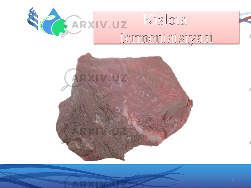 24Kislota fermentatsiyasi401E 191A1C231A2C 