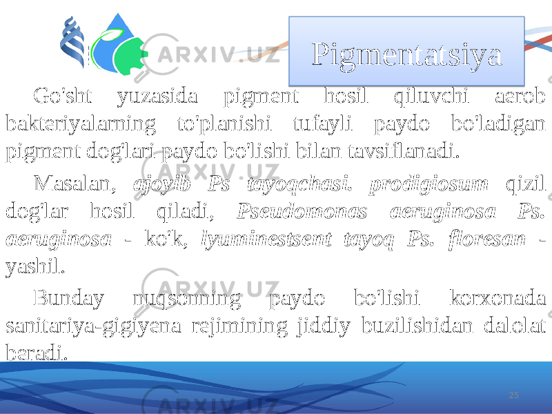 Pigmentatsiya Go&#39;sht yuzasida pigment hosil qiluvchi aerob bakteriyalarning to&#39;planishi tufayli paydo bo&#39;ladigan pigment dog&#39;lari paydo bo&#39;lishi bilan tavsiflanadi. Masalan, ajoyib Ps tayoqchasi. prodigiosum qizil dog&#39;lar hosil qiladi, Pseudomonas aeruginosa Ps. aeruginosa - ko&#39;k, lyuminestsent tayoq Ps. floresan - yashil. Bunday nuqsonning paydo bo&#39;lishi korxonada sanitariya-gigiyena rejimining jiddiy buzilishidan dalolat beradi. 25461E26 