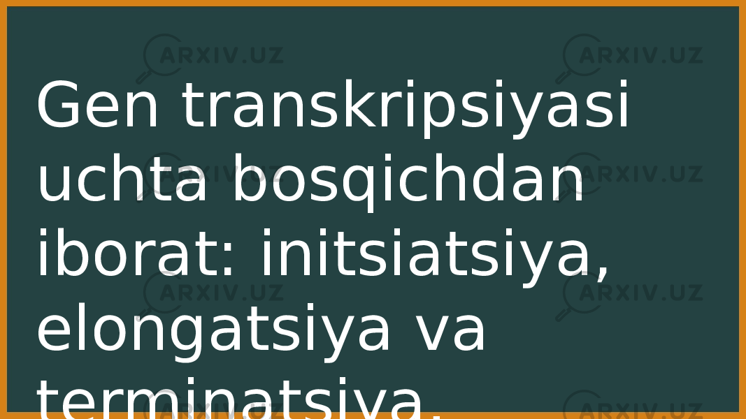 Gen transkripsiyasi uchta bosqichdan iborat: initsiatsiya, elongatsiya va terminatsiya. 