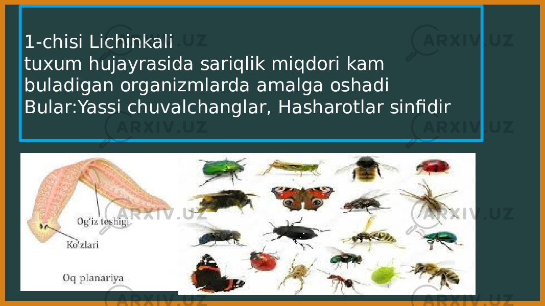 1-chisi Lichinkali tuxum hujayrasida sariqlik miqdori kam buladigan organizmlarda amalga oshadi Bular:Yassi chuvalchanglar, Hasharotlar sinfidir 