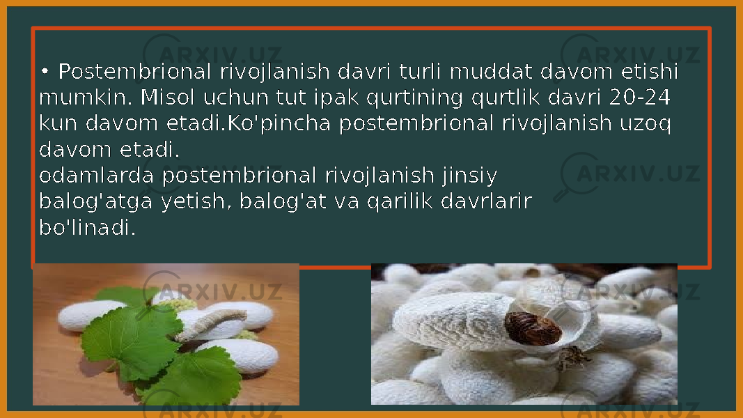 • Postembrional rivojlanish davri turli muddat davom etishi mumkin. Misol uchun tut ipak qurtining qurtlik davri 20-24 kun davom etadi.Ko&#39;pincha postembrional rivojlanish uzoq davom etadi. odamlarda postembrional rivojlanish jinsiy balog&#39;atga yetish, balog&#39;at va qarilik davrlarir bo&#39;linadi. 