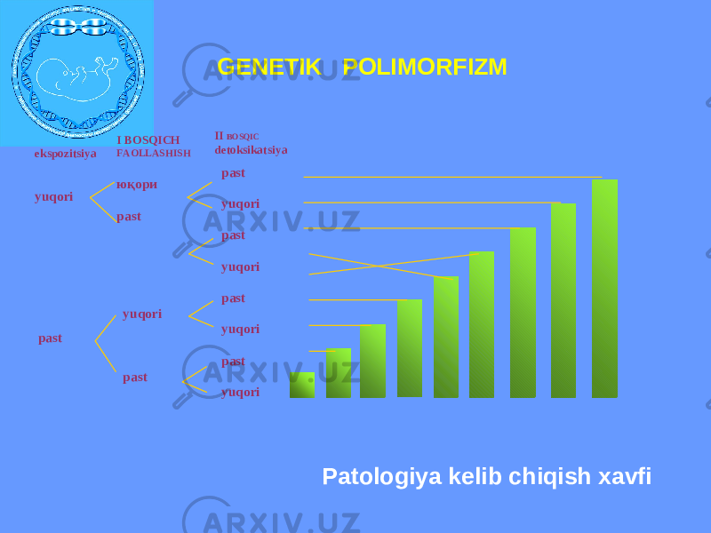  Patologiya kelib chiqish xavfiGENETIK POLIMORFIZM past yuqori past yuqori past yuqori past yuqori юқори past yuqori past yuqori past I BOSQICH FAOLLASHISH II BOSQIC detoksikatsiya ekspozitsiya 