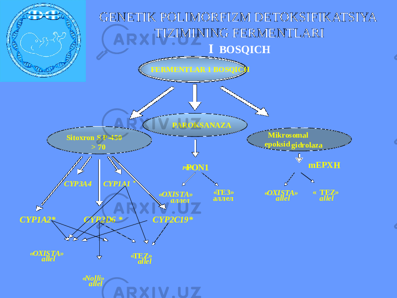 Sitoxron S Р-450 > 70 FERMENTLAR 1 BOSQICH CYP1A2* CYP2D6 * CYP2C19* PONPAROKSANAZA Mikrosomal epoksid gidrolaza « OXISTA» allel « TEZ» allel CYP3A4 CYP1A1 * « OXISTA» аллел « ТЕЗ» аллел « OXISTA» allel « TEZ» allel « Nolli» allel PON1 mEPXHGENETIK POLIMORFIZM DETOKSIFIKATSIYA TIZIMINING FERMENTLARI I BOSQICH 