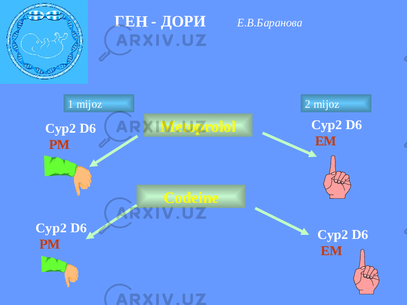 ГЕН - ДОРИ Е.В.Баранова Metoprolol 1 mijoz 2 mijoz Сyp2 D6 PM Сyp2 D6 EM Сodeine Сyp2 D6 PM Сyp2 D6 EM 