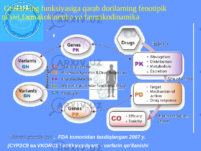  Genlarning funksiyasiga qarab dorilarning fenotipik ta’siri,farmakokinetika va farmakodinamika . Birinchi genetik test , FDA tomonidan tasdiqlangan 2007 y. (CYP2C9 ва VKORC1 ) antikaugulyant – varfarin qo’llanishi 