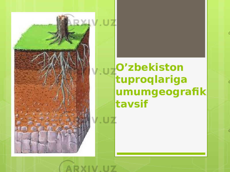 O’zbekiston tuproqlariga umumgeografik tavsif 
