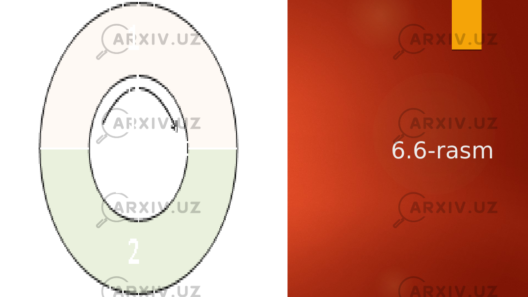 6.6-rasm 