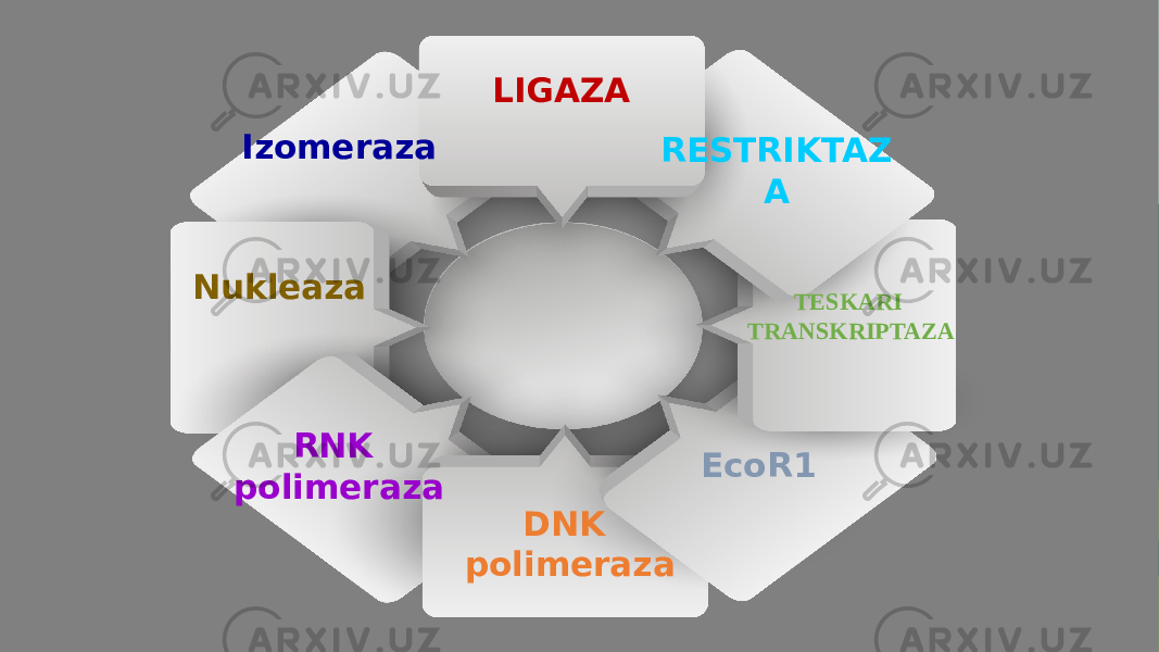 LIGAZA RESTRIKTAZ A TESKARI TRANSKRIPTAZA EcoR1 DNK polimerazaRNK polimerazaNukleaza Izomeraza 