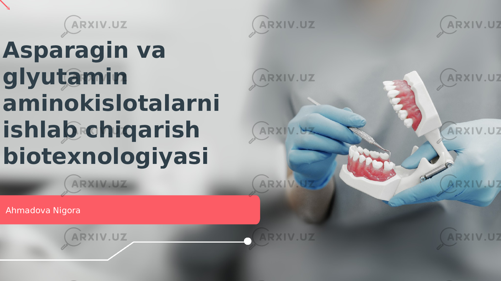Asparagin va glyutamin aminokislotalarni ishlab chiqarish biotexnologiyasi Ahmadova Nigora 