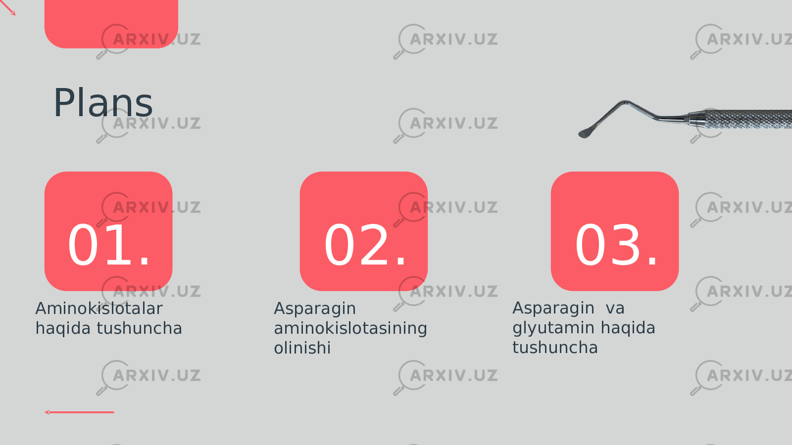 01. 02. 03.Plans Aminokislotalar haqida tushuncha Asparagin  aminokislotasining olinishi Asparagin  va glyutamin haqida tushuncha 