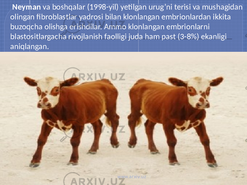  Neyman va boshqalar (1998-yil) yetilgan urug’ni terisi va mushagidan olingan fibroblastlar yadrosi bilan klonlangan embrionlardan ikkita buzoqcha olishga erishdilar. Ammo klonlangan embrionlarni blastositlargacha rivojlanish faolligi juda ham past (3-8%) ekanligi aniqlangan. www.arxiv.uz 