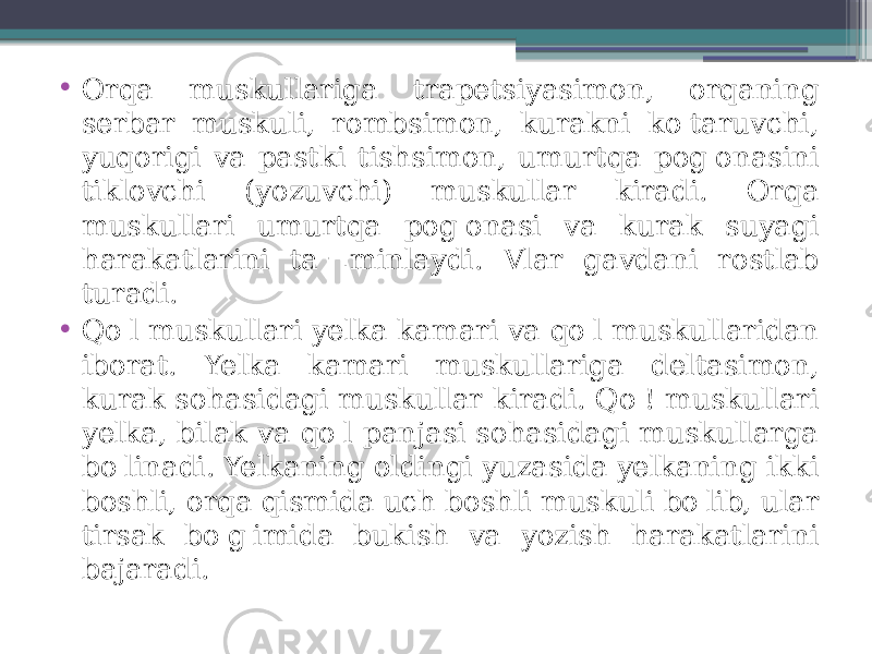 • Orqa muskullariga trapetsiyasimon, orqaning serbar muskuli, rombsimon, kurakni ko&#39;taruvchi, yuqorigi va pastki tishsimon, umurtqa pog&#39;onasini tiklovchi (yozuvchi) muskullar kiradi. Orqa muskullari umurtqa pog&#39;onasi va kurak suyagi harakatlarini ta&#39;¬minlaydi. Vlar gavdani rostlab turadi. • Qo&#39;l muskullari yelka kamari va qo&#39;l muskullaridan iborat. Yelka kamari muskullariga deltasimon, kurak sohasidagi muskullar kiradi. Qo&#39;! muskullari yelka, bilak va qo&#39;l panjasi sohasidagi muskullarga bo&#39;linadi. Yelkaning oldingi yuzasida yelkaning ikki boshli, orqa qismida uch boshli muskuli bo&#39;lib, ular tirsak bo&#39;g&#39;imida bukish va yozish harakatlarini bajaradi. 