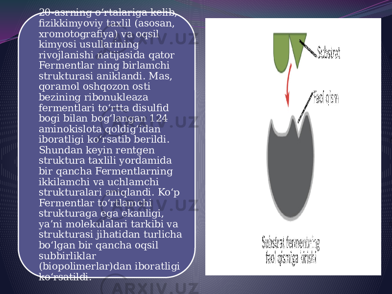 20-asrning oʻrtalariga kelib, fizikkimyoviy taxlil (asosan, xromotografiya) va oqsil kimyosi usullarining rivojlanishi natijasida qator Fermentlar ning birlamchi strukturasi aniklandi. Mas, qoramol oshqozon osti bezining ribonukleaza fermentlari toʻrtta disulfid bogi bilan bogʻlangan 124 aminokislota qoldigʻidan iboratligi koʻrsatib berildi. Shundan keyin rentgen struktura taxlili yordamida bir qancha Fermentlarning ikkilamchi va uchlamchi strukturalari aniqlandi. Koʻp Fermentlar toʻrtlamchi strukturaga ega ekanligi, yaʼni molekulalari tarkibi va strukturasi jihatidan turlicha boʻlgan bir qancha oqsil subbirliklar (biopolimerlar)dan iboratligi koʻrsatildi. 