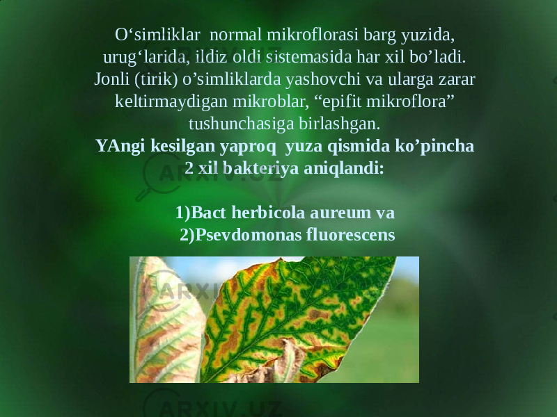 O‘simliklar normal mikroflorasi barg yuzida, urug‘larida, ildiz oldi sistemasida har xil bo’ladi. Jonli (tirik) o’simliklarda yashovchi va ularga zarar keltirmaydigan mikroblar, “epifit mikroflora” tushunchasiga birlashgan. YAngi kesilgan yaproq yuza qismida ko’pincha 2 xil bakteriya aniqlandi: 1)Bact herbicola aureum va 2)Psevdomonas fluorescens 